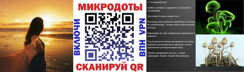 дарнет шоп Николаевск Псилоцибиновые грибы Psilocybine cubensis