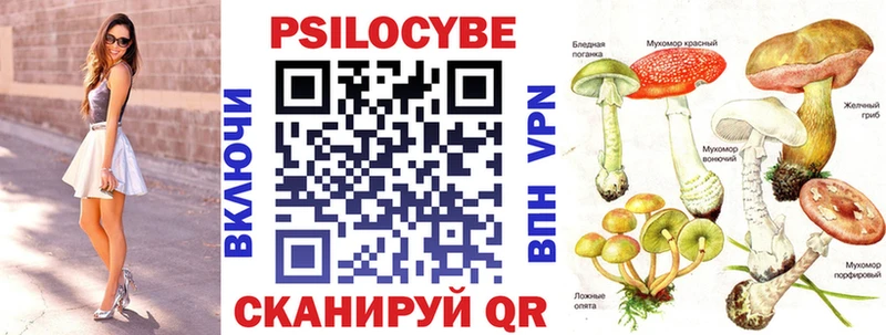 Галлюциногенные грибы Psilocybine cubensis Николаевск